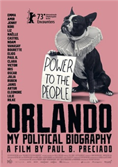 Orlando -  moja polityczna biografia