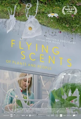 23.MDAG | Sekretne życie roślin