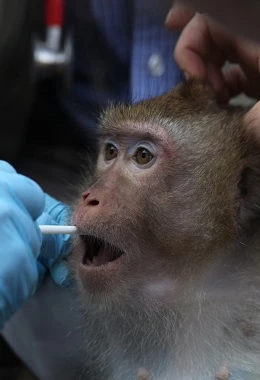 23.MDAG | Istoty czujące