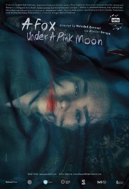 23.MDAG | Lis i różowy księżyc | AKADEMIA