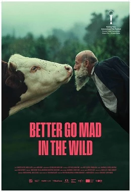 23.MDAG | Dzikie szaleństwo